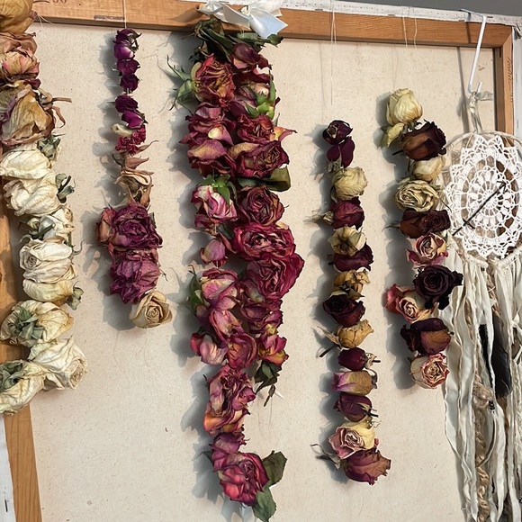 Dried 🥀 Roses - Picture 4 of 9